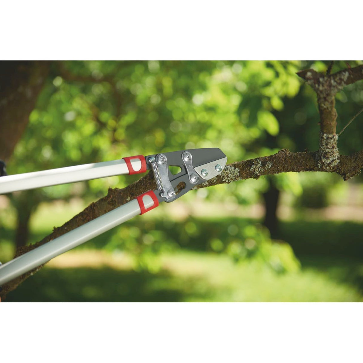 Wolf-garten power cut rs 800 v takkenschaar (rood zilver)