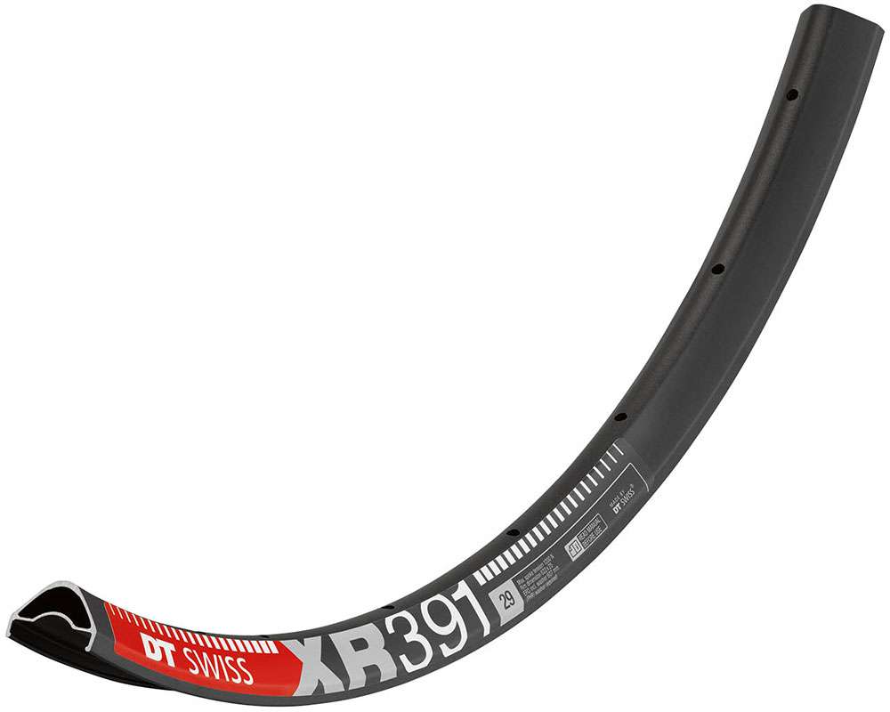 Dt swiss xr 391 29 disc rim