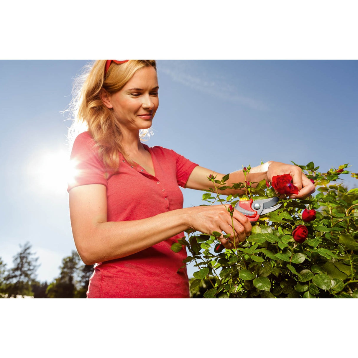 Wolf Garten RR4000 Secateurs | Premium Plus | Parrot Beak | Up to 22mm Ø - 73cfa004650