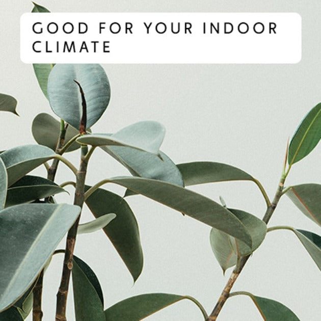 Mill jemný vzduch wifi olejový radiátor oil2000wifi3 black