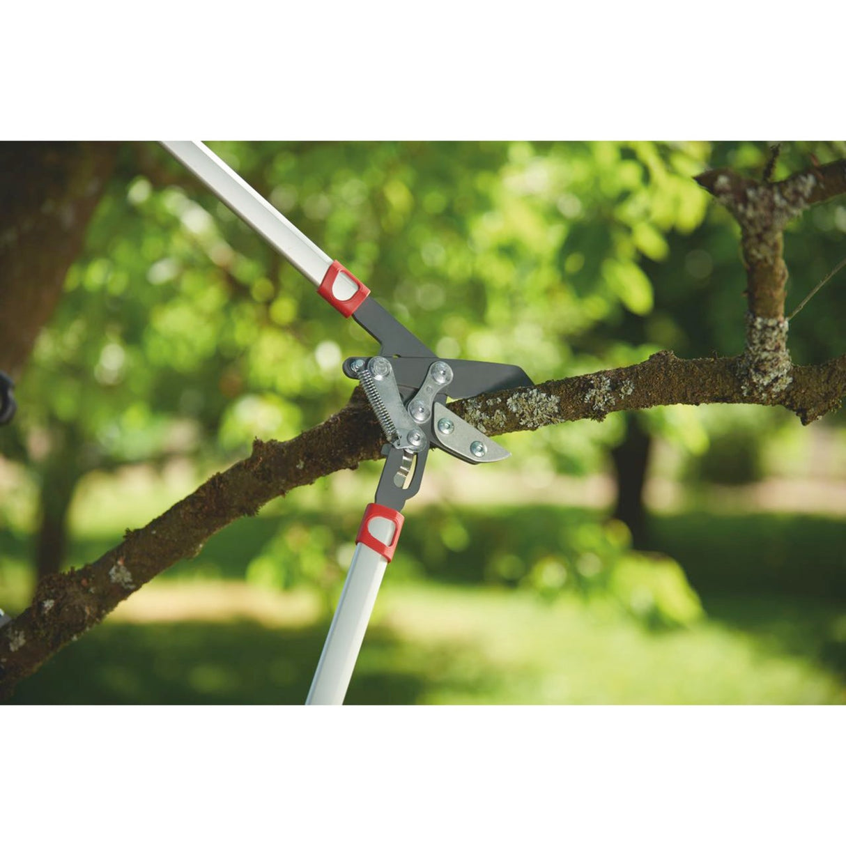 Wolf-garten power cut rs 800 v takkenschaar (rood zilver)