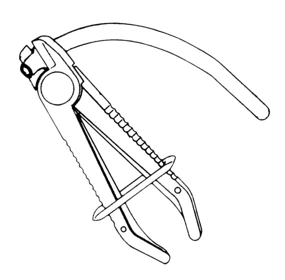 Gedore red Hose clamp pliers set Ø 0-60 mm 3-piece Orange