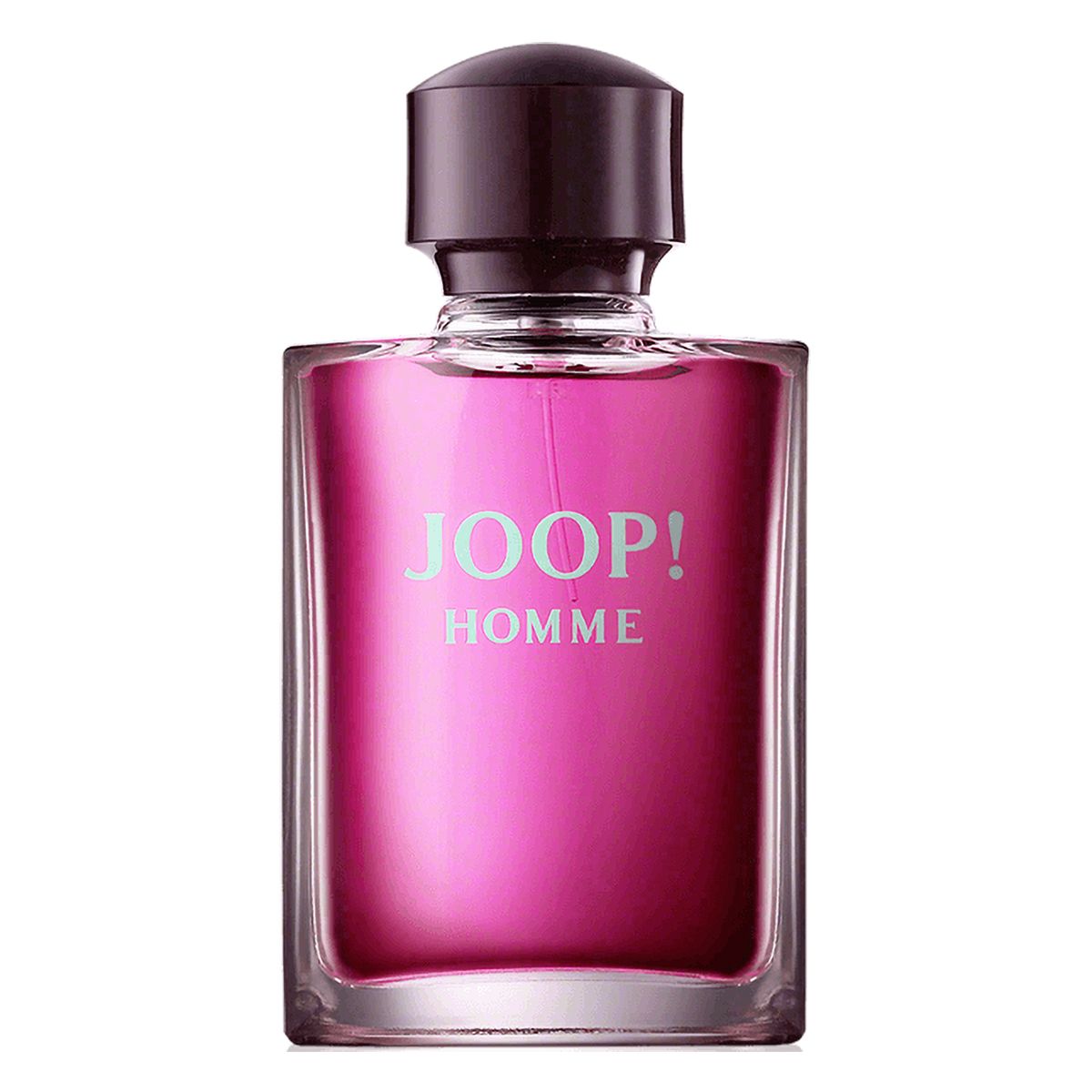 Hopp! joop homme eau de toilette spray 125ml herr