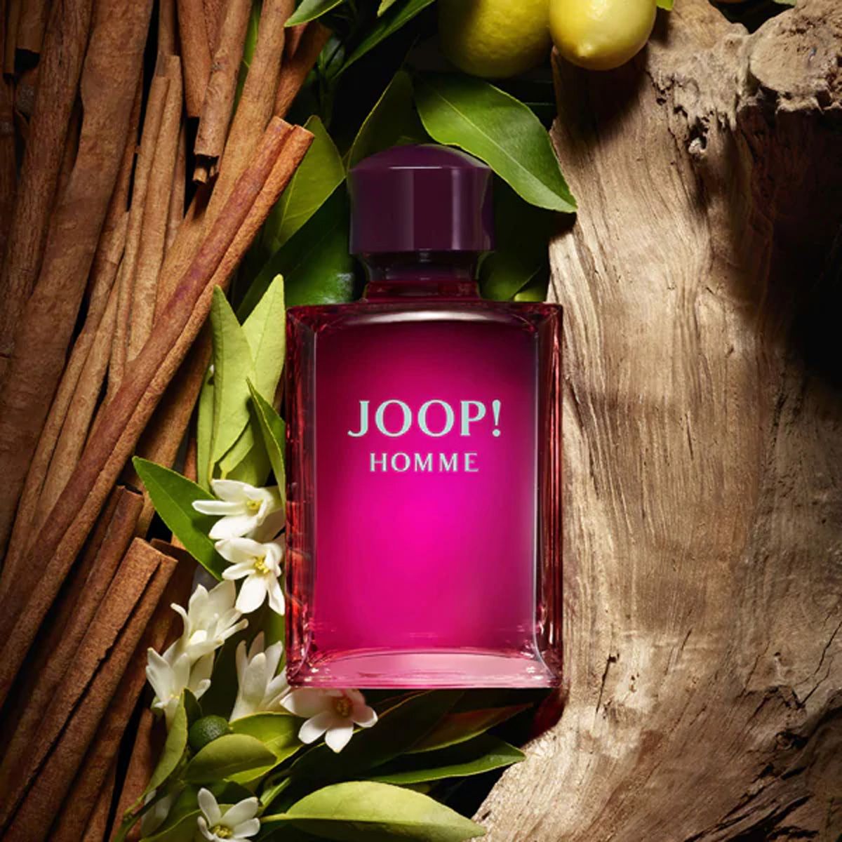 Hopp! joop homme eau de toilette spray 125ml herr