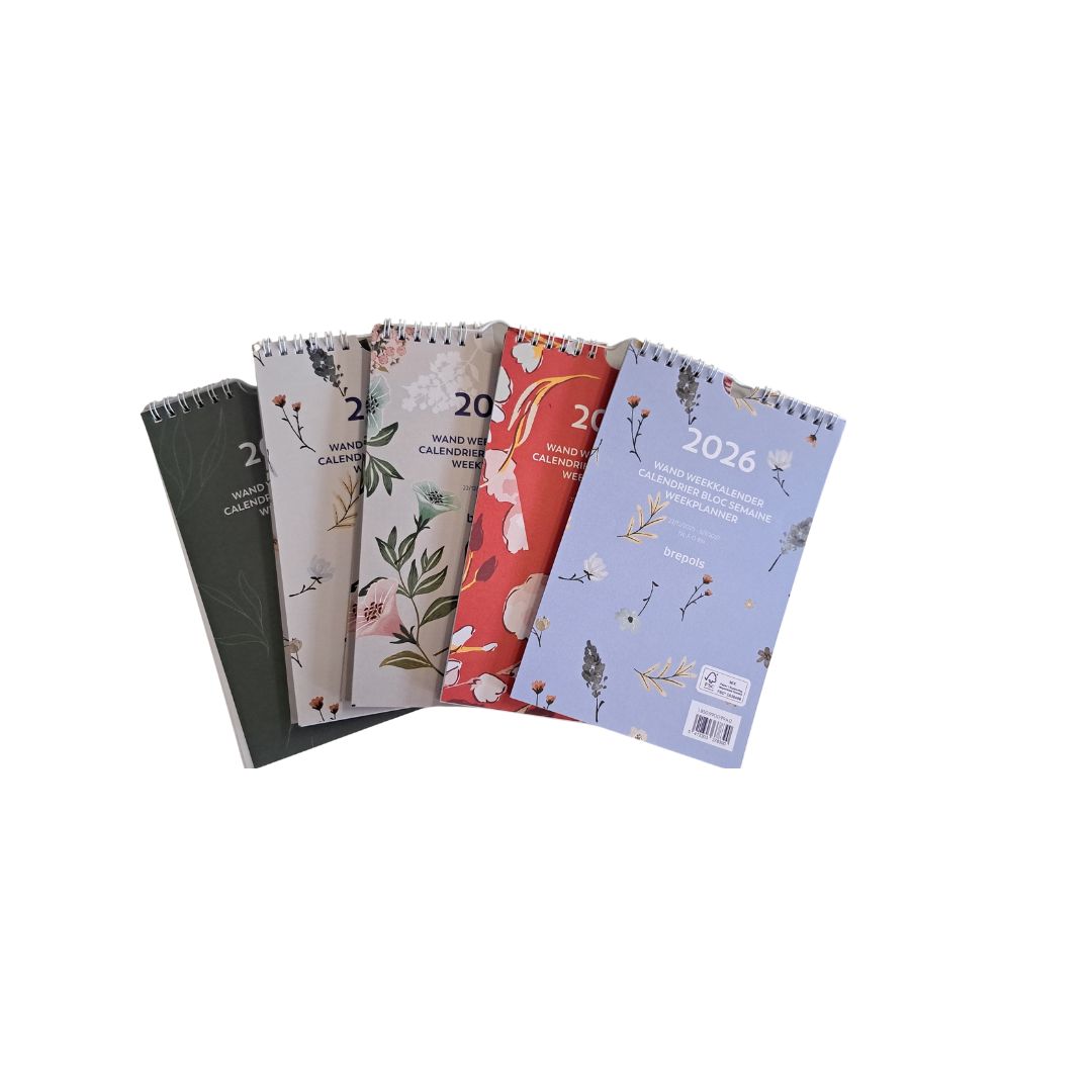 Kalendarz ścienny tygodniowy Brepols fantasy 2026