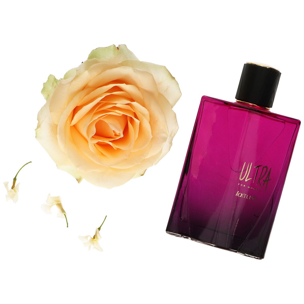 Lamusê 12 pieces lamuse eau de perfume spray ladies ultra 100ml