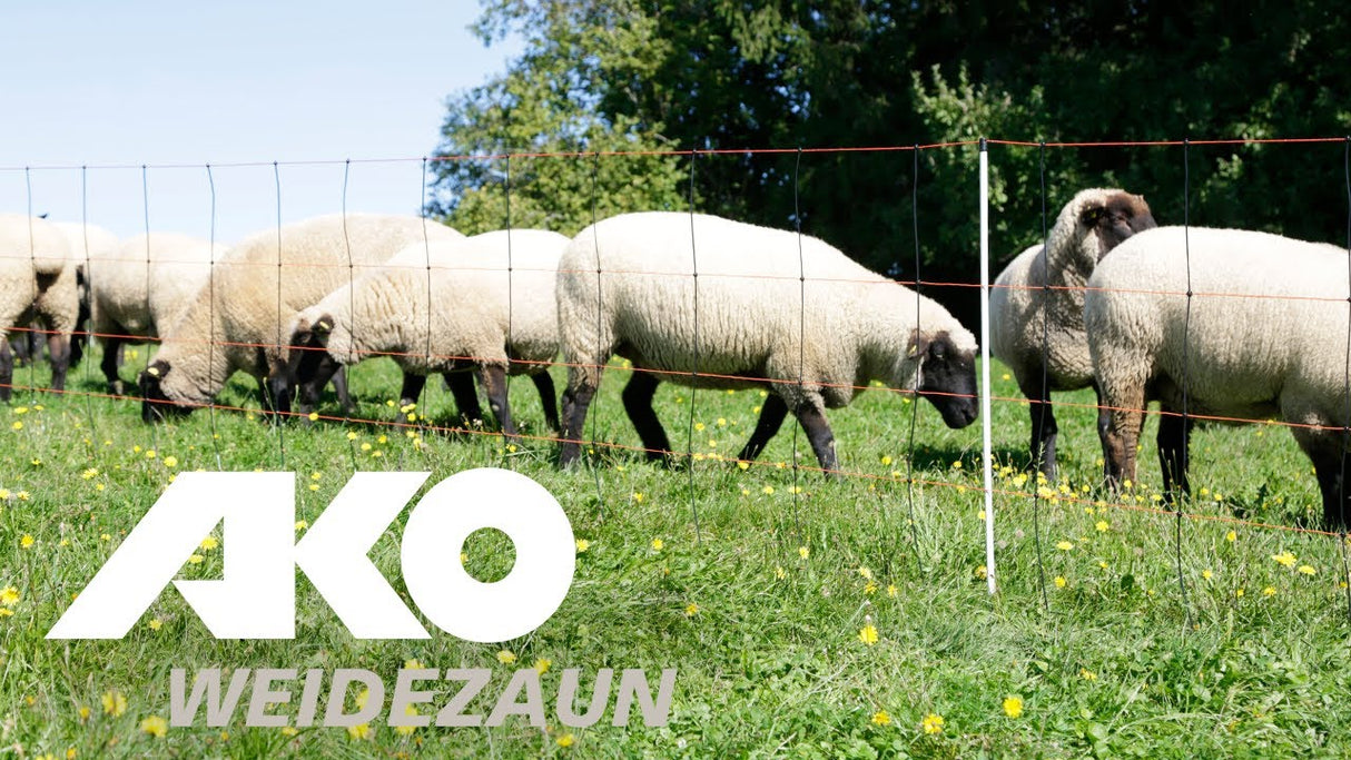 Ako producten schapennet titanlicht oranjezw 90cmx50m enkele pen