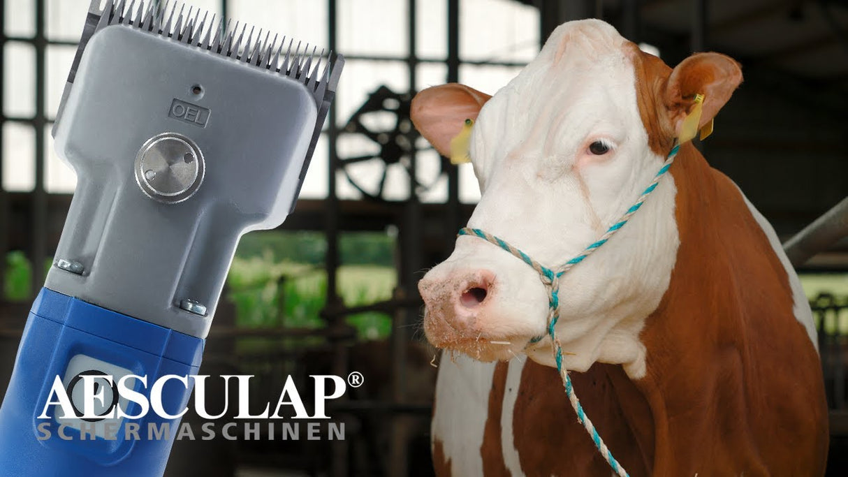 Aesculap econom producten veescheermachine econom cordless plus2 accus 1