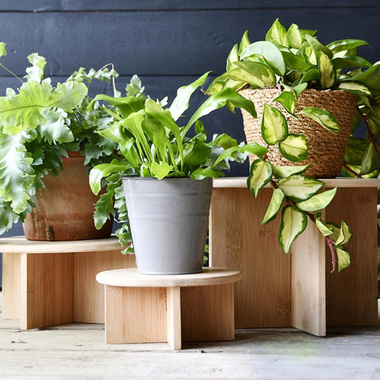 Table à plantes design Esschert bambou l