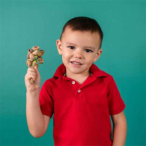 Hochwertiges Hintergrundpapier 74 Fichte 1,35 x 11 m