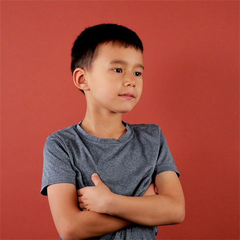 Vorgesetzter Hintergrundpapier 75 Ziegel 1,35 x 11 m