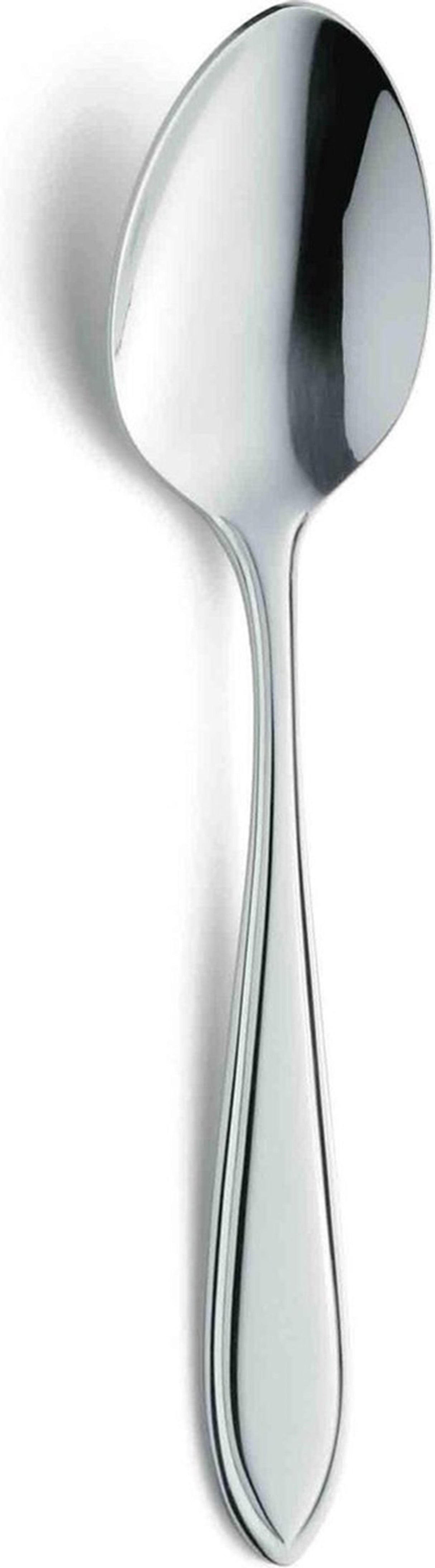 Amefa teaspoons fillet 12 pcs in c c box