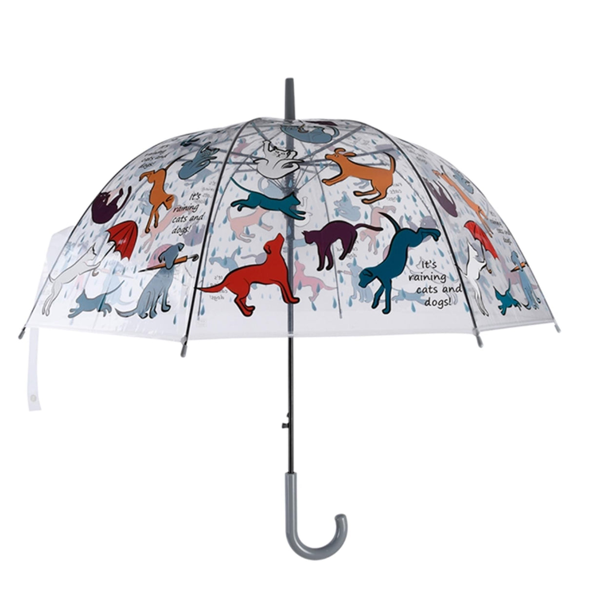 Chats et chiens parapluie transparent