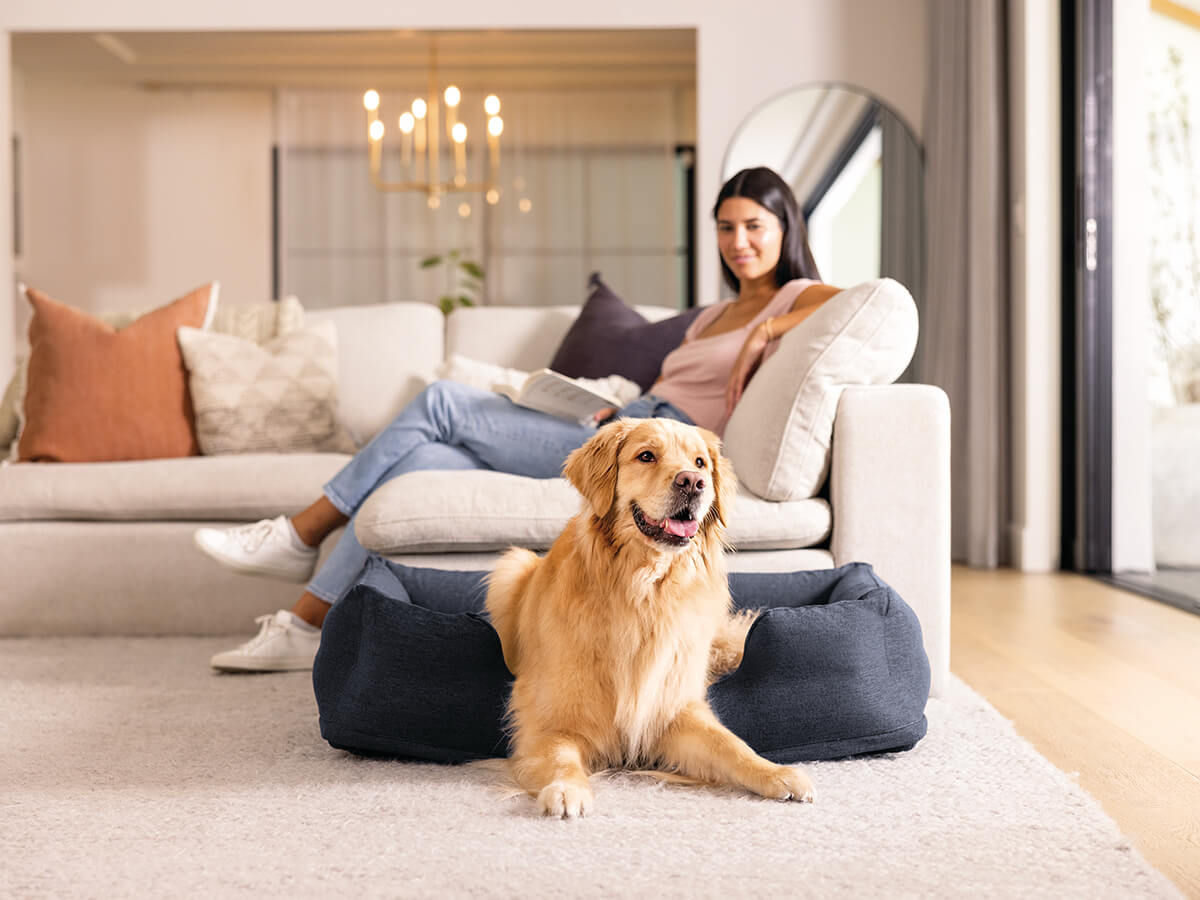 Intex uppblåsbar hundsäng | medelstor