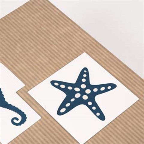 ZEP NF293150 Pergamin Album 50 Blätter 29x31 cm