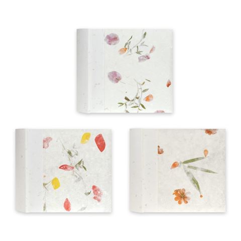 ZEP RP46200 Album Slip-In 200 Fotos 10x15 cm