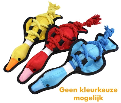 Happy pet Out about cross ropes duck