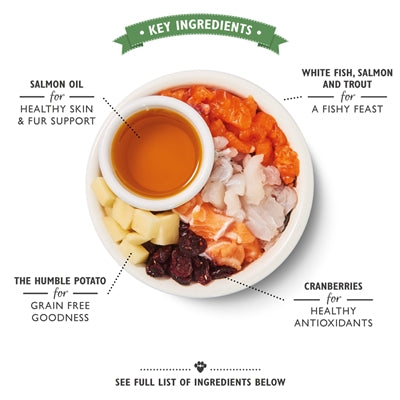 Lilie's Kichen Cat Fëscherfësch Fësch