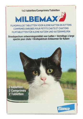 Milbemax Tablette erstmals kleines Katzenkätzchen