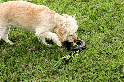 Happy Pet Grrrelli Tyre Tugger Black Green