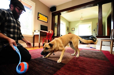 Rouleau intérieur de Chuckit