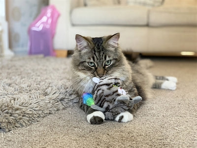 Palissandro moody moggy reversable grabterspeelt