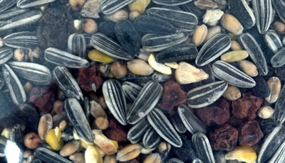 Utopía Strooivoer con bayas