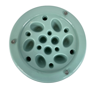 Heureux animal de compagnie fou des animaux de compagnie alimentant le cactus de seau de mangeoire lent Sage Green