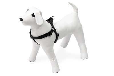 Karlie Harness sporty plus step go black