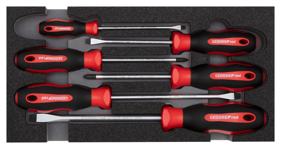 Gedore red Screwdriver set crosshead (PH) + slot 6-piece in module