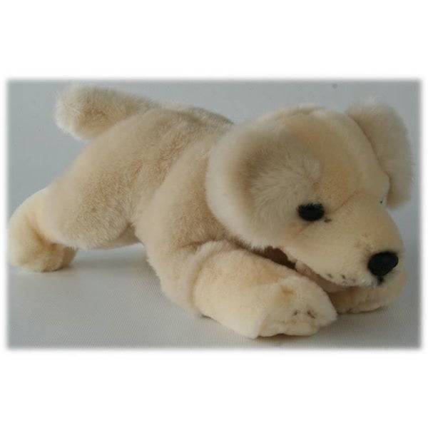 Golden Retriever puppy 29 cm