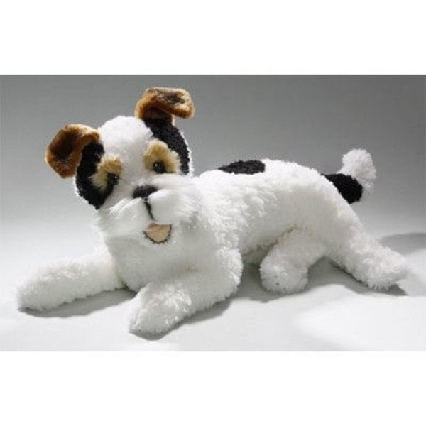 Fox Terrier de 45 cm allongé