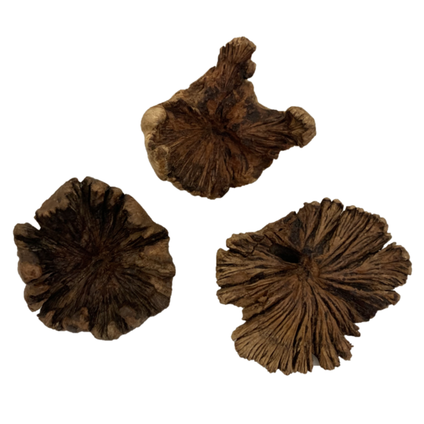 Papoose Spillsaachen Papoose Spillsaachen Wood Rose kleng 3PC