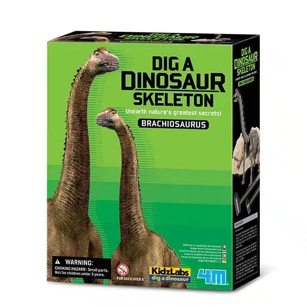 4m - kidzlabs - grav ud - brachiosaurus