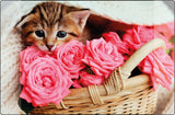 Kangaro K-0014D118 Buro Bottom PP 38x58cm Kitten