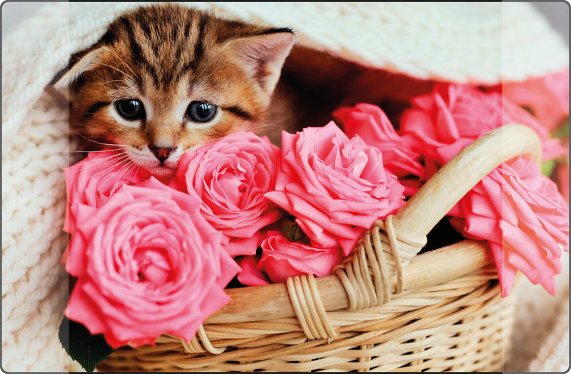 Kangaro k-0014d118 Schreibtischunterlage PP 38x58cm Kätzchen