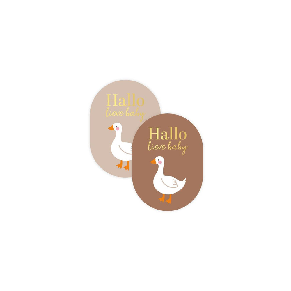 Kassaplan stickers hallo lieve baby + goose 250st