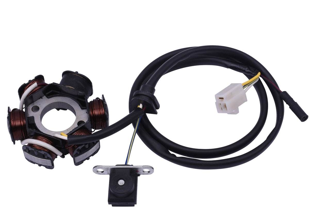 Various Stator | Honda - Kymco - Peugeot Vertical 2t