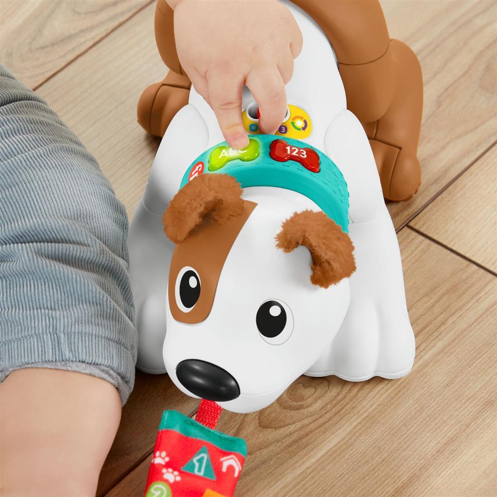 Fisher Price Crawl with Me Puppy + Light and Sound