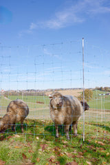 Ako producten schapennet ovinet blauwwit 170cm x 25m dubbele pen