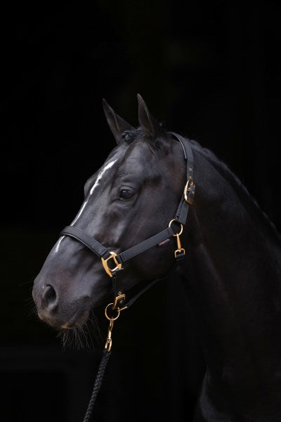 Abi products topline halter black 4 extra full