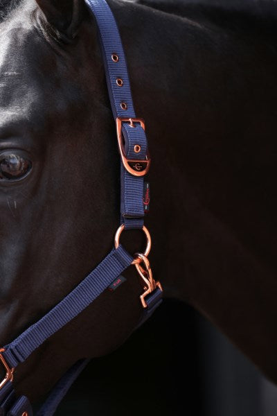 Abi products classy halter foalshetland navy