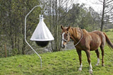 Horsefly gaiste taonx iomlán