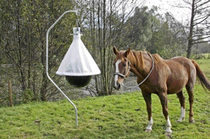 Horsefly gaiste taonx iomlán