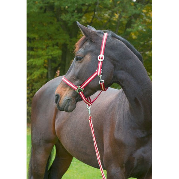 Abi products hippo halter burgundybeige 2 cob