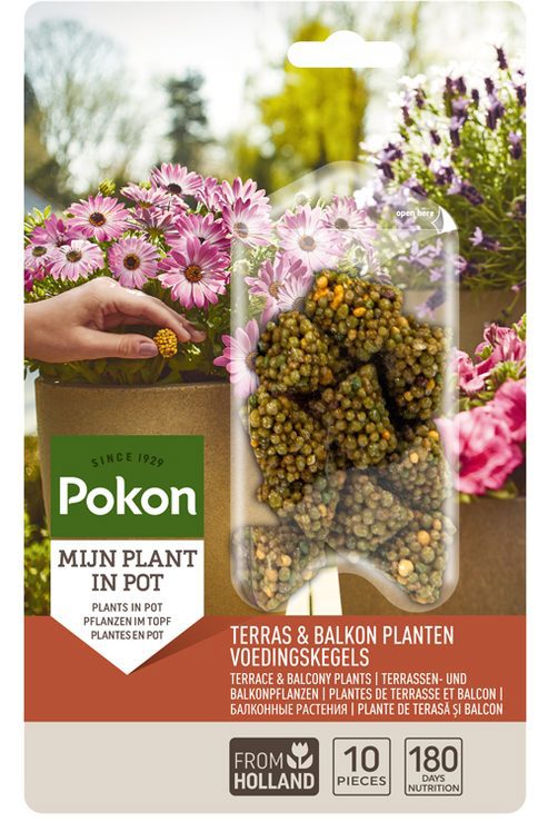 Pokon terrace balcony plants nutrition long cones 10 pcs