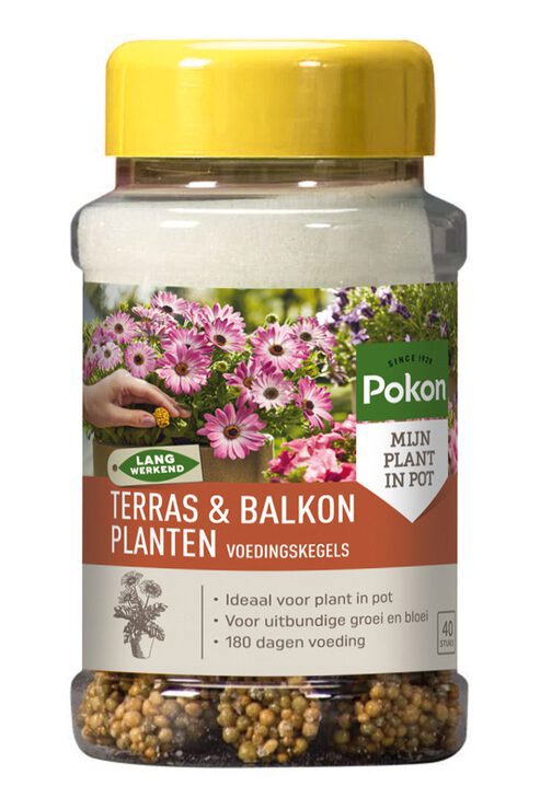 Pokon terrace balcony plants nutrition long cones 40 pcs