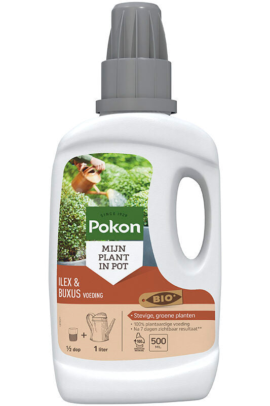 Pokon bio pušpan ilex hrana 500 ml