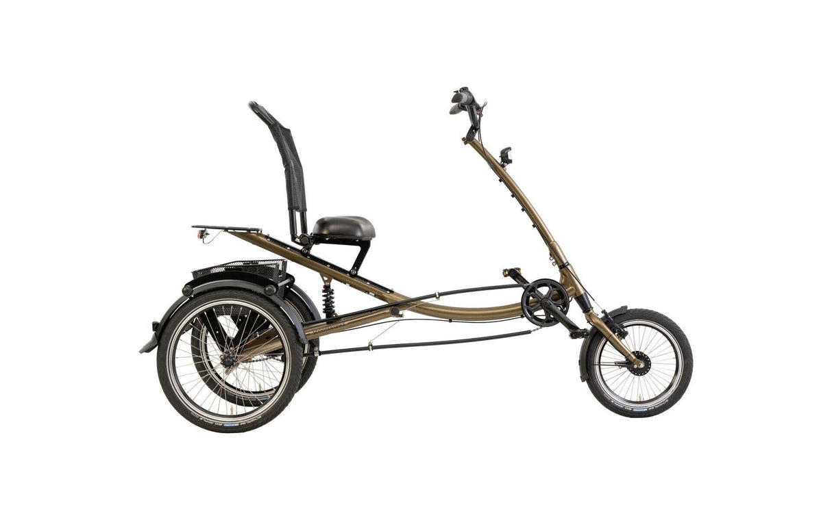 Pfautec Einkaufsfahrrad Scootertrike (#1)