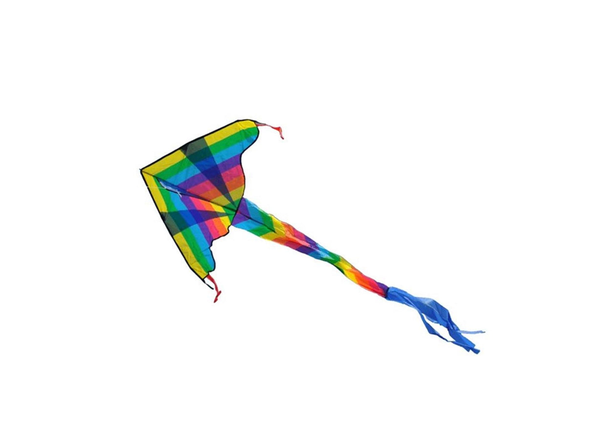 Gerkimex vlieger coloured dragon 102x57cm